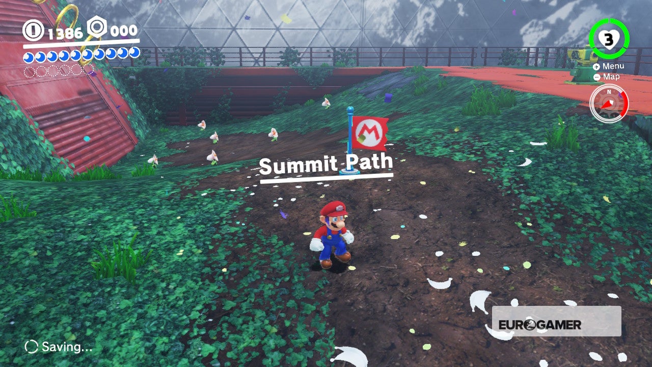 Super Mario Odyssey Pass to the Secret Flower Field and Defend the Secret Flower Field